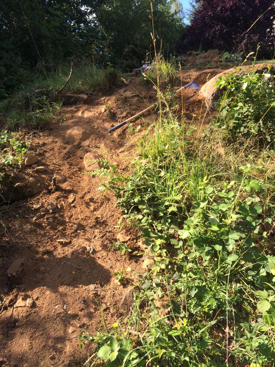 Dirt path with shovel and rake on a sunny day