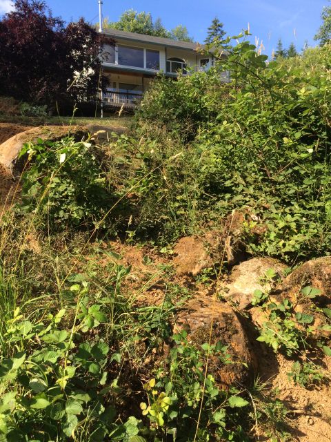 1989 Ford Bronco - Hillside with dense foliage and rocks, a house is visible in the distance.