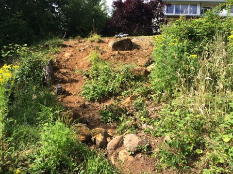 1989 Ford Bronco - A toy truck is positioned on a rocky, overgrown hill near a house.