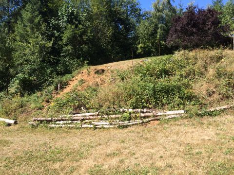 1989 Ford Bronco - A natural landscape dense foliage, a dirt embankment, and a pile of logs in the foreground under a clear blue sky.
