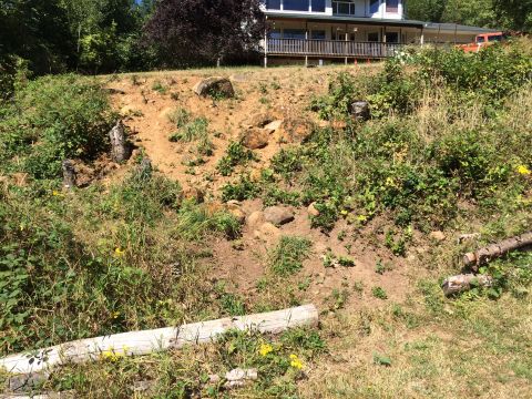 1989 Ford Bronco - A house sits atop a hill with a steep, eroded slope in front.