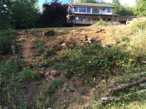 1989 Ford Bronco - A view of a hillside with a house in the background.