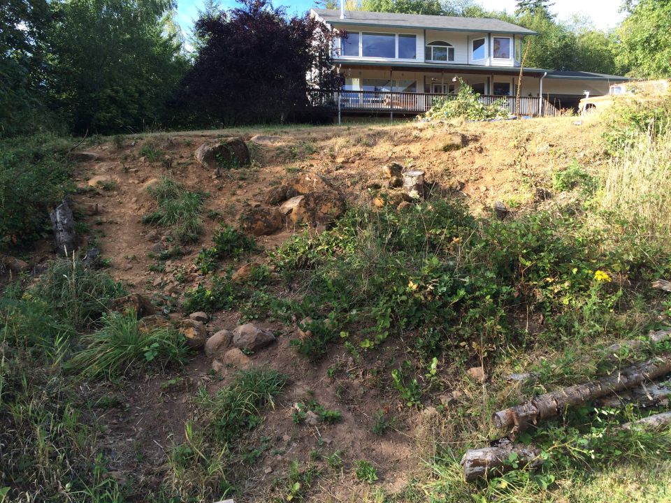Dirt embankment with scattered rocks and vegetation, leading up to a house