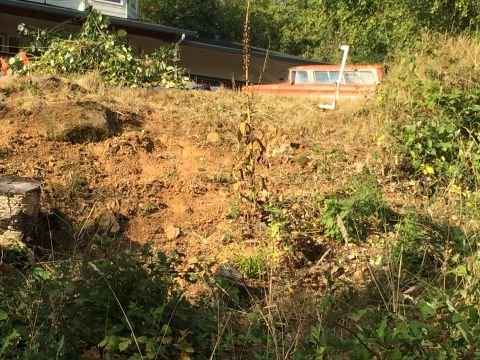 1989 Ford Bronco - An old orange pickup truck is partially visible on a hillside.