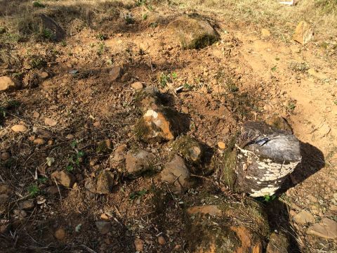 1989 Ford Bronco - A weathered tree stump sits amongst rocks and dry earth, illuminated by sunlight.