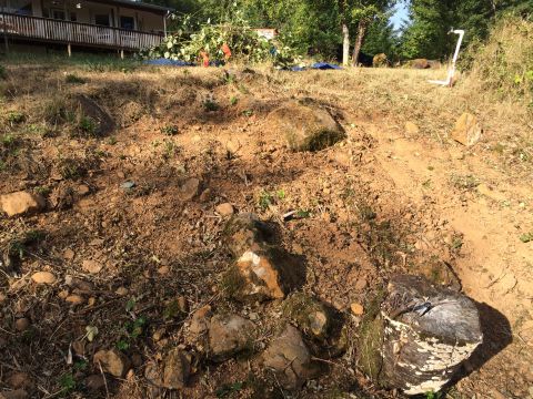 1989 Ford Bronco - A hillside has been cleared, leaving behind dirt, rocks, and tree stumps, with a house visible in the distance.