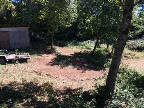 1989 Ford Bronco - A trailer and shed are visible in a wooded area with a dirt path winding through the trees.