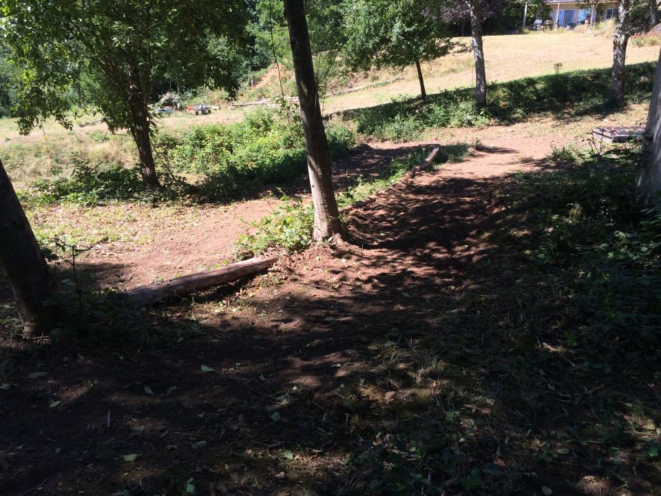 Wooded path with a fallen log and distant house