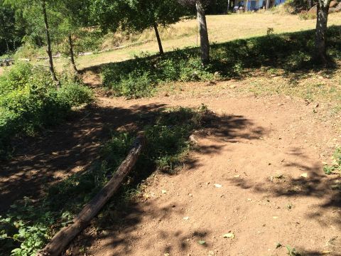 1989 Ford Bronco - A dirt path winds through a wooded area with grass and trees. A fallen log lies on the side of the path.