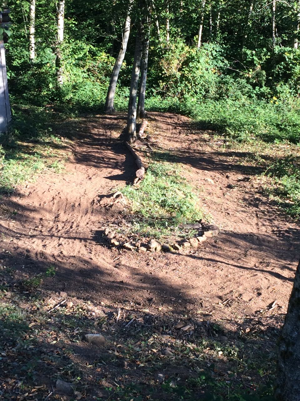 Wooded area with a dirt path and a heart shape made of stones