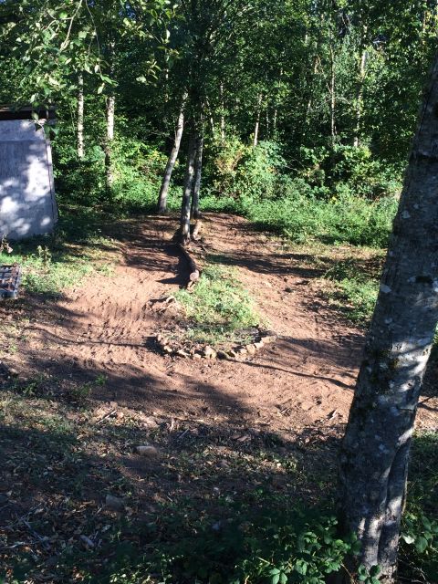 1989 Ford Bronco - A dirt path leads through a sun-dappled wooded area with trees and undergrowth.