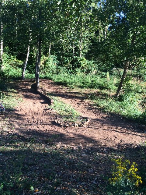 1989 Ford Bronco - A dirt path cuts through a wooded area on a sunny day.
