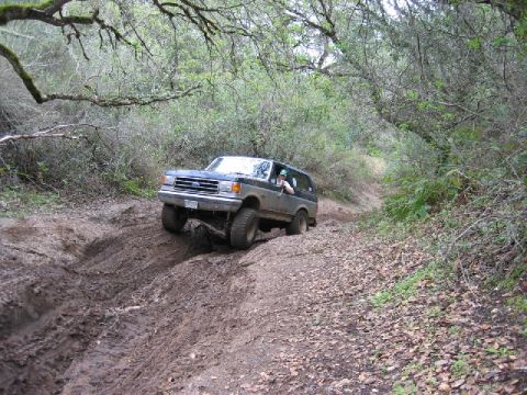 1989 Ford Bronco - A Ford Bronco navigates a challenging muddy path through a dense forest.