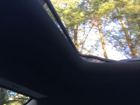 2015 Dodge Dart - Looking up through the open sunroof of a car, with trees and sky visible above.