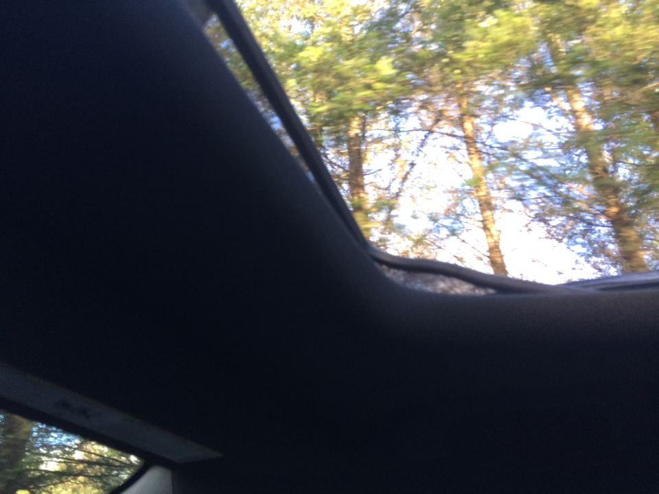 Interior view of car with sunroof open, trees visible outside