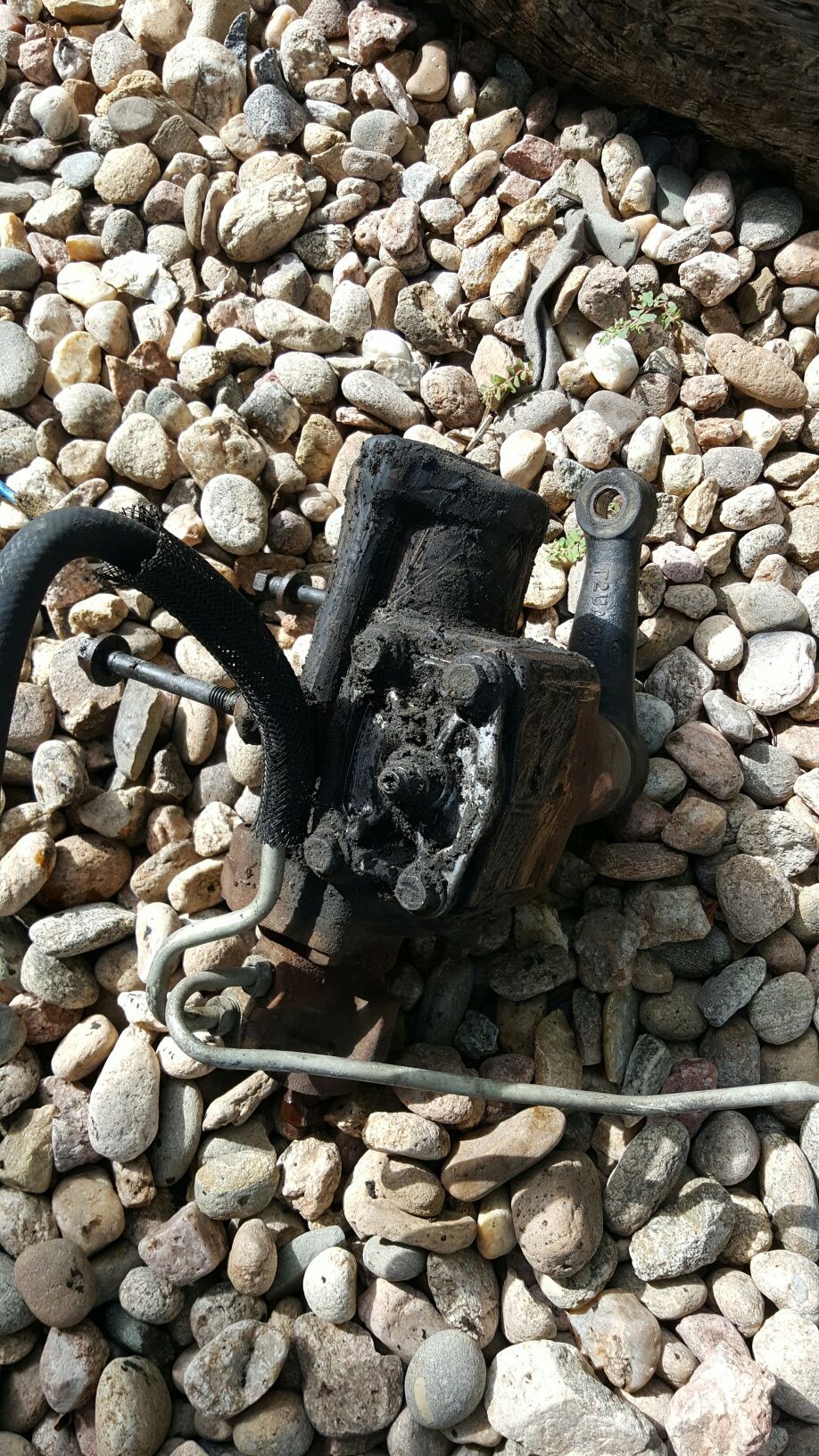Dirty power steering pump with hoses attached, resting on a bed of rocks