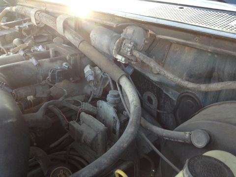 1988 Ford Bronco - A close-up view of the engine bay of a Ford Bronco, showing various hoses, wiring, and engine components. The sunlight is bright and glinti…