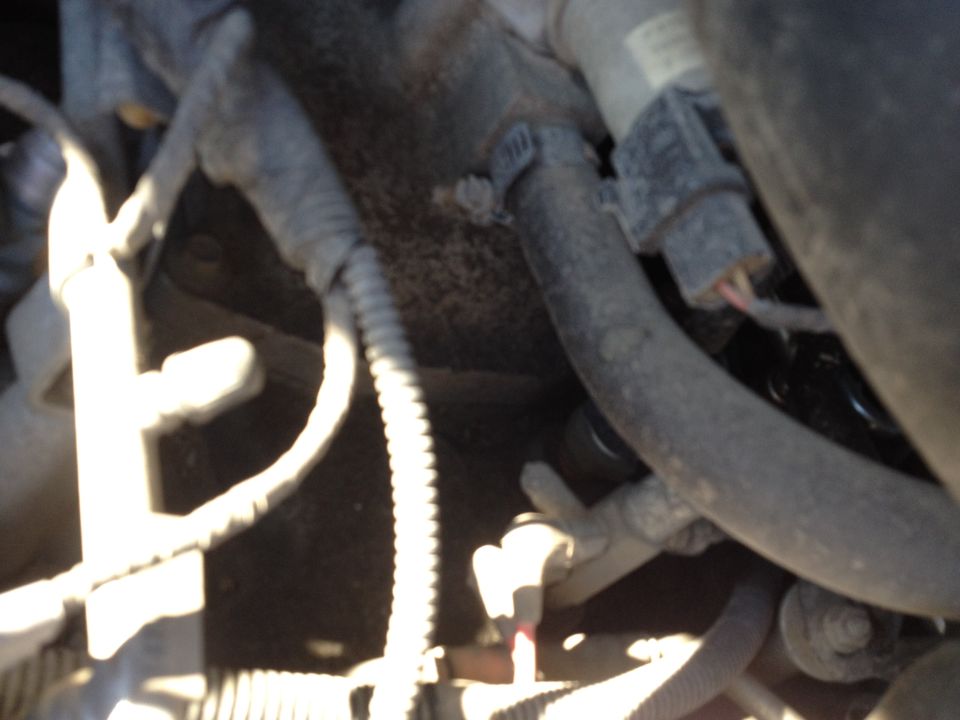 Automotive wiring and hoses in an engine bay.