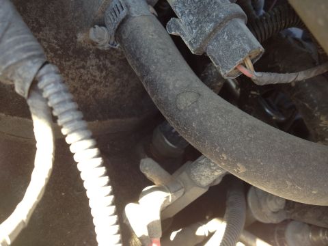 1988 Ford Bronco - Close-up view of a thick, ribbed hose secured with a clamp, with a black electrical connector and wires visible. The surrounding engine bay…