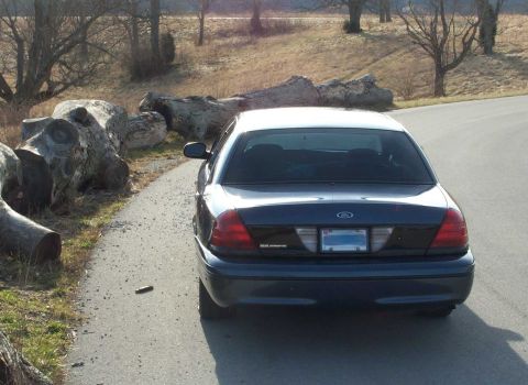 1998 Ford Crown Victoria - A dark 1998 Ford Crown Victoria is parked on the side of a road, with large logs visible on the left.