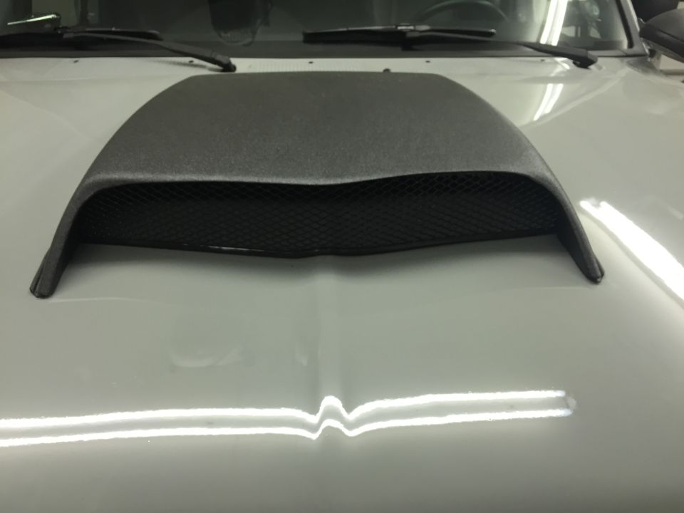 Black textured hood scoop with mesh insert on a white vehicle hood.