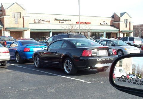 1998 Ford Crown Victoria - The Good: A GT and a Bullitt Mustang.