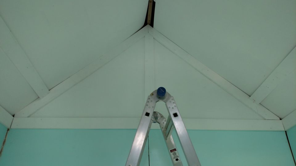 White vaulted ceiling with rafters and a ladder