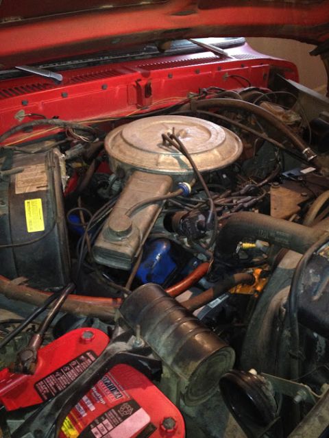 1978 Ford Bronco - The engine bay of a 1978 Ford Bronco, a prominent air cleaner and dual red Optima batteries.