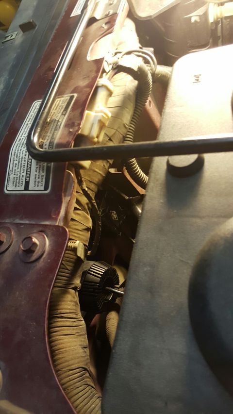 1996 Ford Bronco - Close-up view of the engine bay wiring harness, showing a black circular component and various cables.