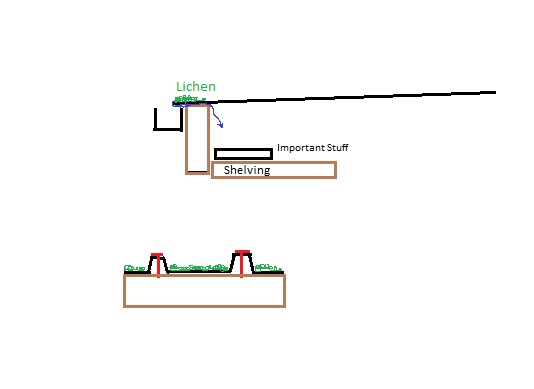 Crude MS Paint sketch labeled Lichen, Important Stuff and Shelving