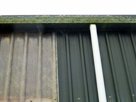 1969 Lincoln Continental - A close-up view of corrugated metal siding, a white pipe, and a moss-covered roof edge.