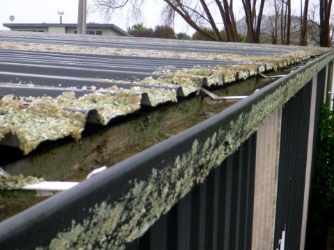1969 Lincoln Continental - Debris and moss have accumulated in the gutter of a corrugated metal roof.