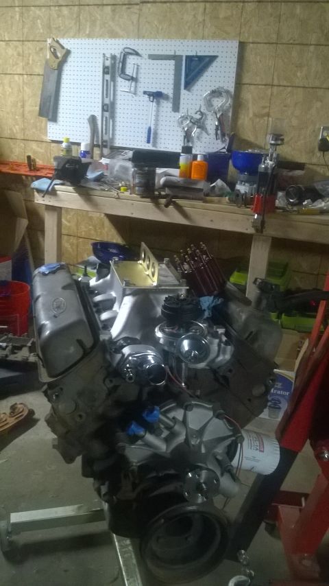 1984 Ford Bronco - 1994 roller motor with weiand stealth intake and jegs ssr distributor