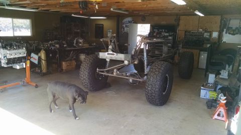 1985 Jeep CJ7 - A custom-built off-road vehicle chassis with large tires is shown in a garage setting. A dog walks in the foreground.