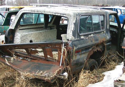 1978 Ford Bronco - Custom shag