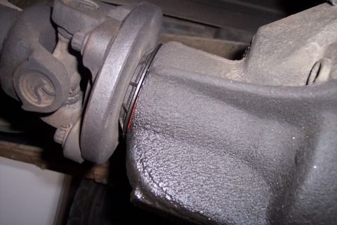 1990 Ford Bronco - Close-up view of a driveshaft U-joint and differential housing assembly.