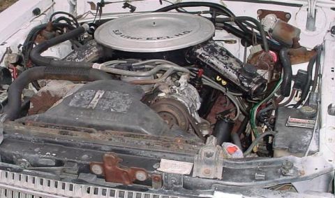 1984 Ford LTD photo
