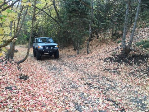 1988 Ford Bronco - A light-colored SUV drives down a dirt road covered in fallen autumn leaves. The vehicle is surrounded by trees with yellow and green folia…