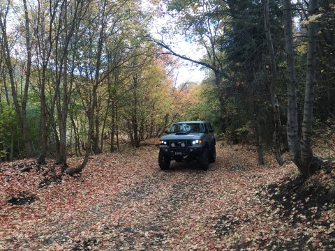 1988 Ford Bronco - A dark colored SUV is parked on a leaf-covered dirt road surrounded by trees with autumn foliage. The vehicle has aftermarket lights on its…