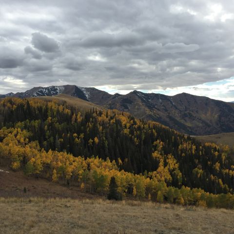 1988 Ford Bronco - A scenic view of a mountain slope covered in autumn foliage, with dark clouds overhead.