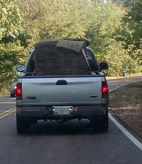 2004 Land Rover Land Rover - If you want to haul a ton of sod in your half-ton pickup, be sure to strap the grass down.
