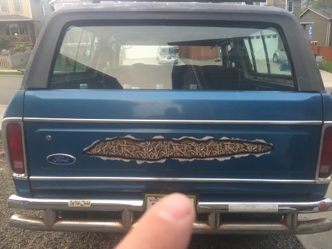1979 Ford Bronco