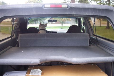 1995 Ford Bronco