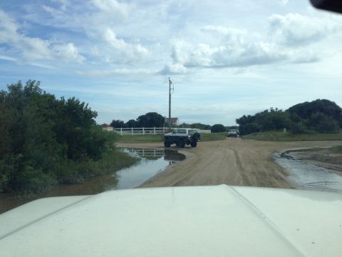 1979 Ford Bronco - A white SUV is parked on a dirt road next to a large puddle. The vehicle is viewed from the front, with a white hood visible in the foregro…