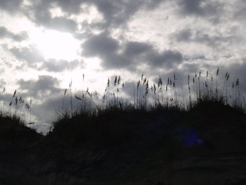 1979 Ford Bronco - A silhouetted dune grass and sky scene with the sun peeking through dramatic clouds.