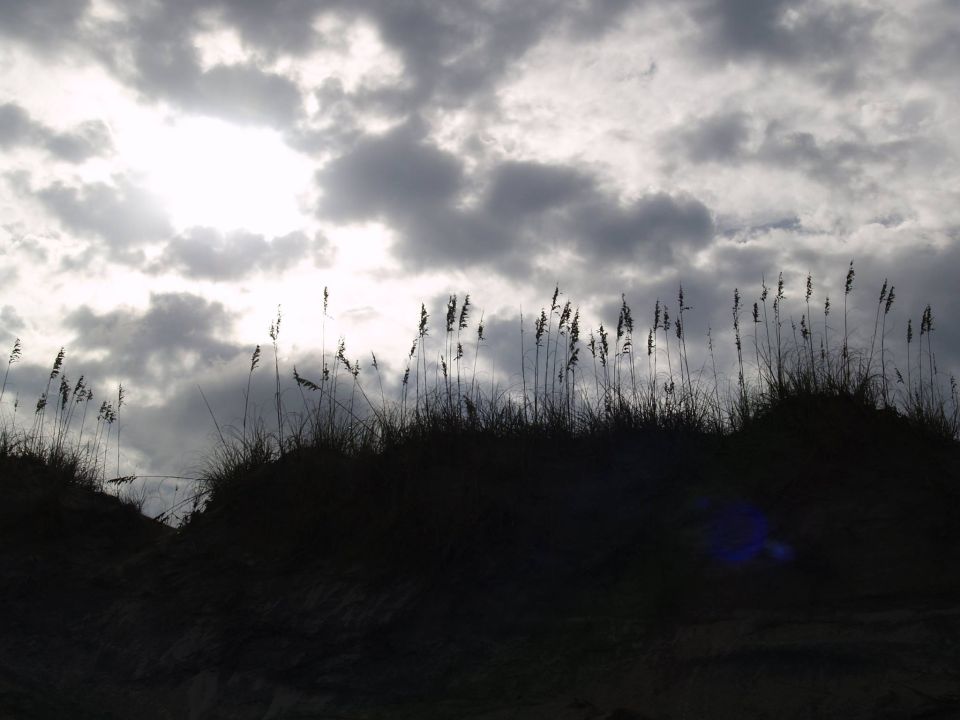 Dune grass silhouetted against a cloudy sky with the sun breaking through.