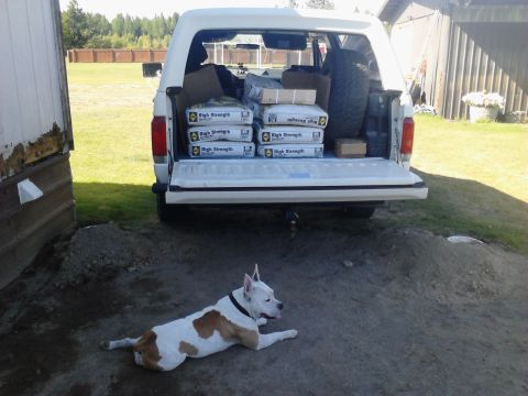 1990 Ford Bronco - The rear of a white 1990 Ford Bronco is loaded with bags of High Strength concrete mix and a spare tire. A pit bull mix dog rests on the gr…