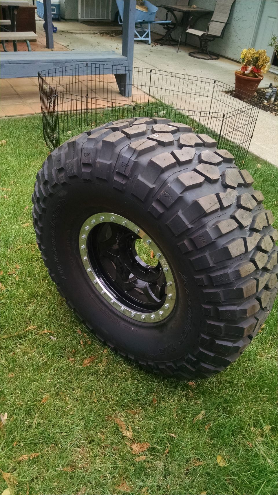 Close-up of a large off-road tire and rim on grass.