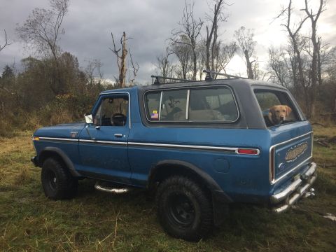 1979 Ford Bronco - A dog watches from the back of a blue Ford Bronco parked in a field on an overcast day.