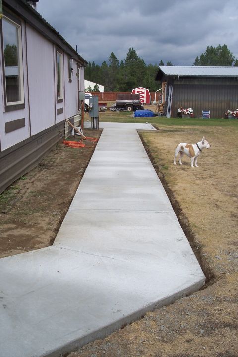 1989 Ford Bronco - A dog observes a newly poured concrete walkway in a rural setting with a house and barn.
